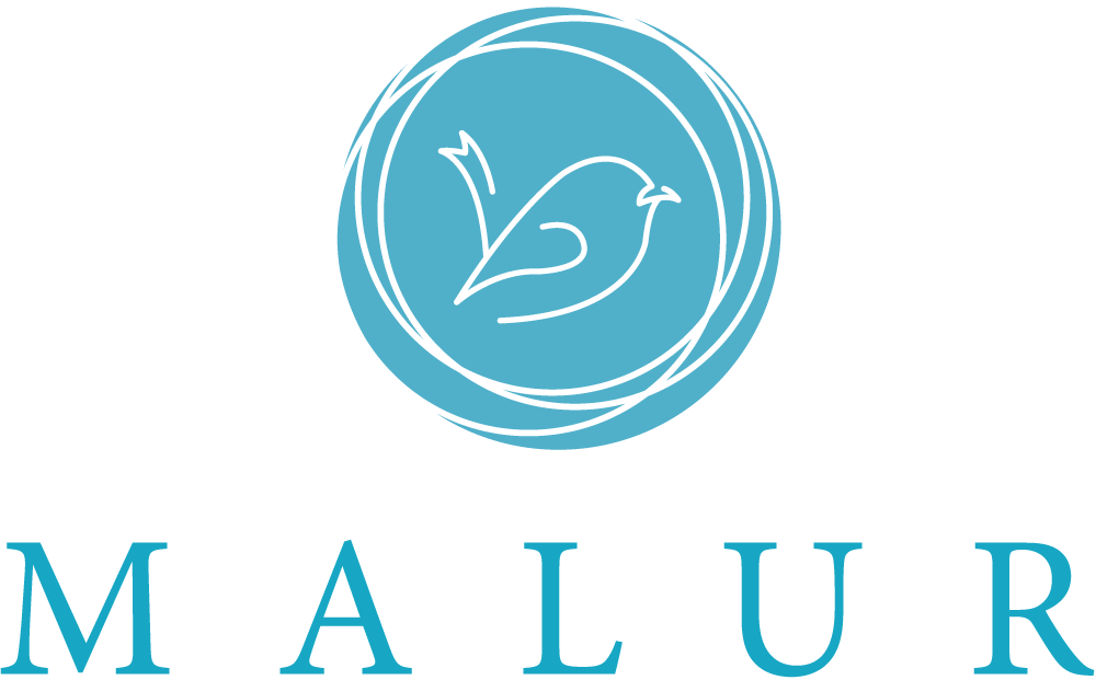 Logo of MALUR LTD - Web Design in Paphos (Logo). A small drawn bird on a turquoise circle and the lettering MALUR below.